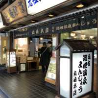 ♨️箱根遊玩慳錢攻略💰必買箱根周遊券
