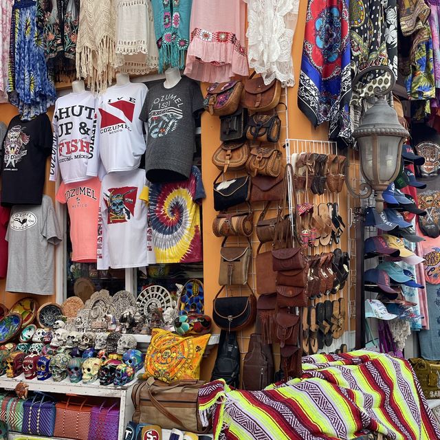 【メキシコ】ダイビングで有名なコスメル島🇲🇽