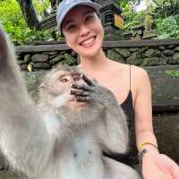 Ubud 聖猴公園