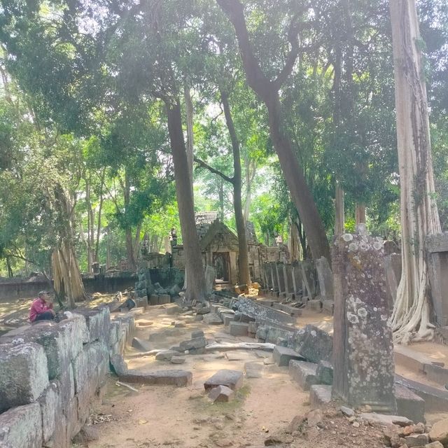 密林の階段ピラミッドが圧巻 コーケー遺跡
