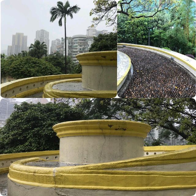 城中綠蔭😎螺絲山公園
