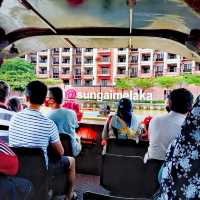 The fascinating river cruise! 🌊🚢