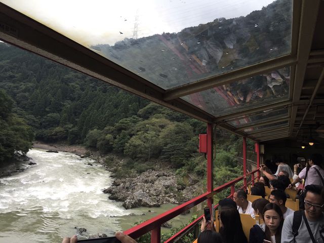 สวนป่าไผ่ &สะพานแม่น้ำสุขใจ @ARASHIYAMA