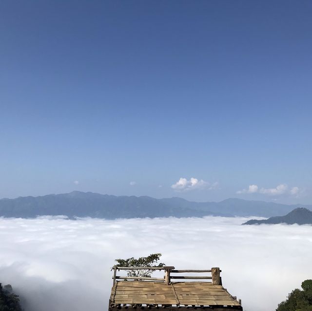 Gloselo 