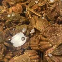 ♡Taipei fish market ♡🐙 ตลาดปลาไทเป