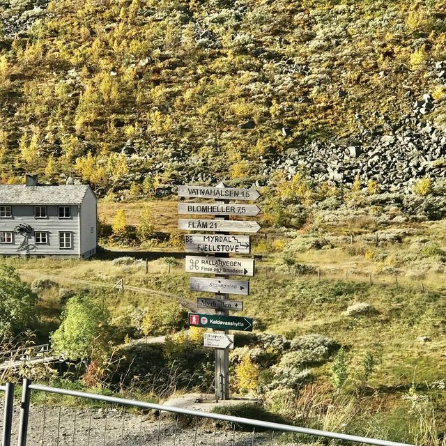 Myrdal Train Station - Myrdal, Norway