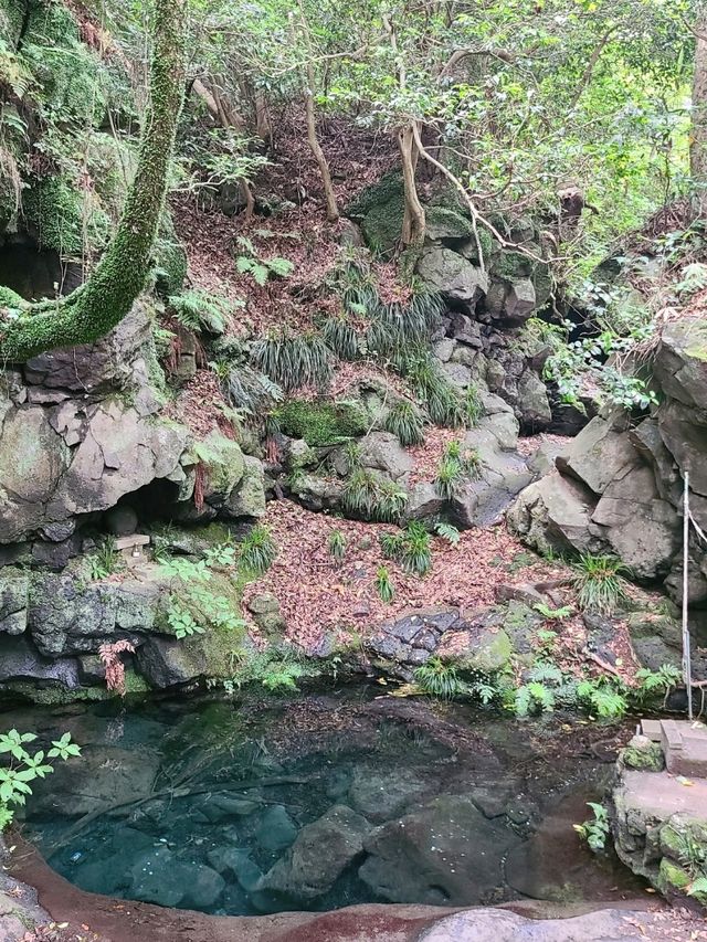 【静岡】白糸ノ滝