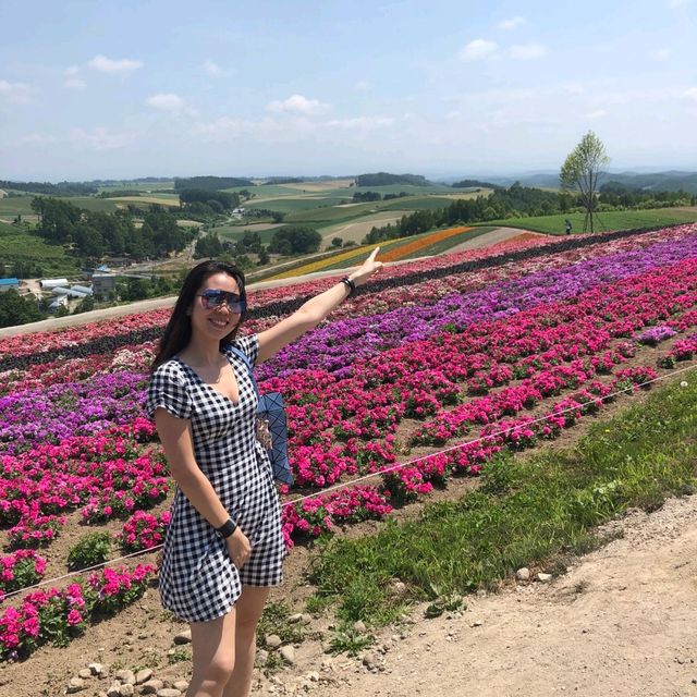 Flowers In Full Bloom In Hokkaido 🌸🌼🌷🌹