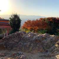 伏見稲荷千本鳥居を四ツ辻まで散歩