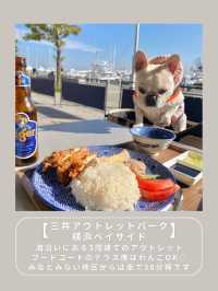 【横浜】わんこと行けるスポット6選🎡
