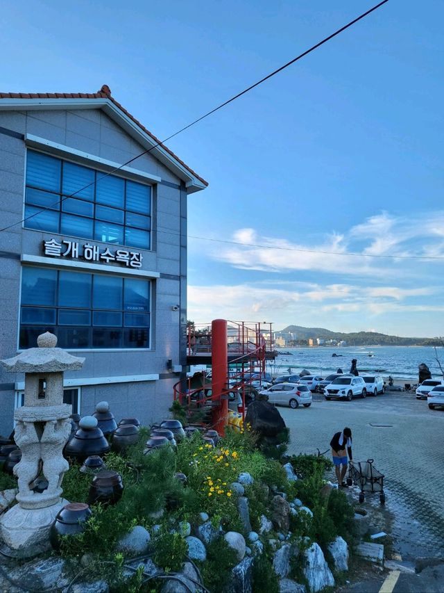 조용하고 한적한 프라이빗 비치 솔개해수욕장🏖