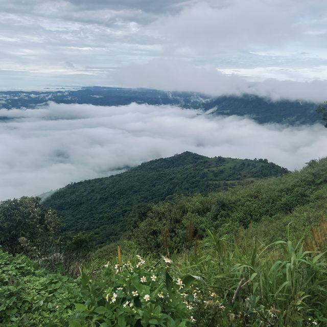 เที่ยวภูทับเบิกหน้าฝน 🌿💚