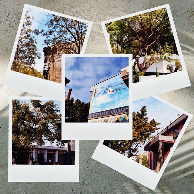 創意與文化交匯，鰜魚洲文創園🐟🎨🌳 
