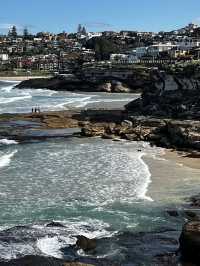 Bondi Beach: the magic coastal walk