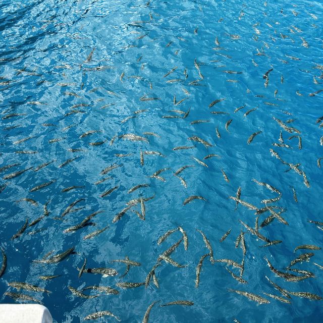 The deepest lake of Japan 