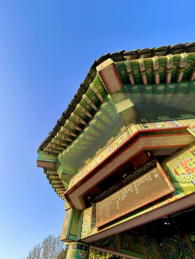 인천 노을 명소 자유공원🌅