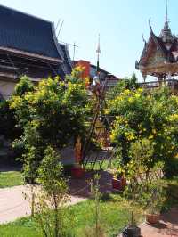 วัดหัวเวึยงใต้น่าน