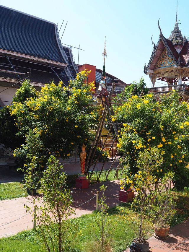 วัดหัวเวึยงใต้น่าน