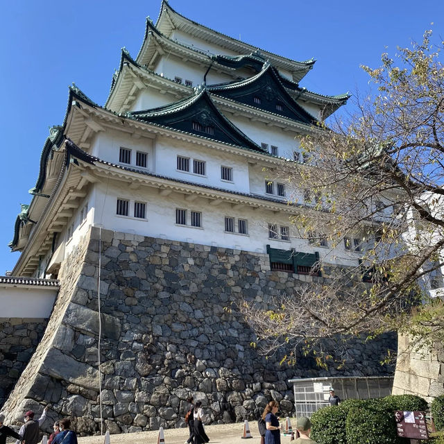 名古屋城の湯殿書院ガイドツアーに参加