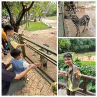 【 近距離觀賞大型野生動物。購票優惠攻略 】  