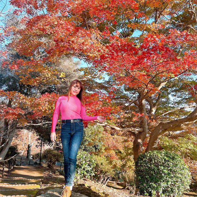 三次市　尾関山公園