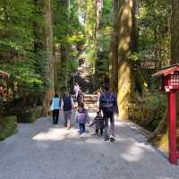 Must Visit Hakone Shrine