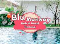 ไปพักผ่อนกันที่ Blu Monkey Hub & Hotel Ranong 