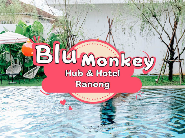 ไปพักผ่อนกันที่ Blu Monkey Hub & Hotel Ranong 