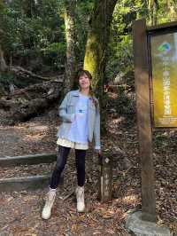親近山林 感受大雪山的美好