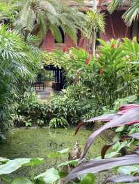 Bangkok's Enchanting Silk Oasis