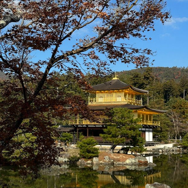 金閣寺：歴史と美の調和 🏯🍁