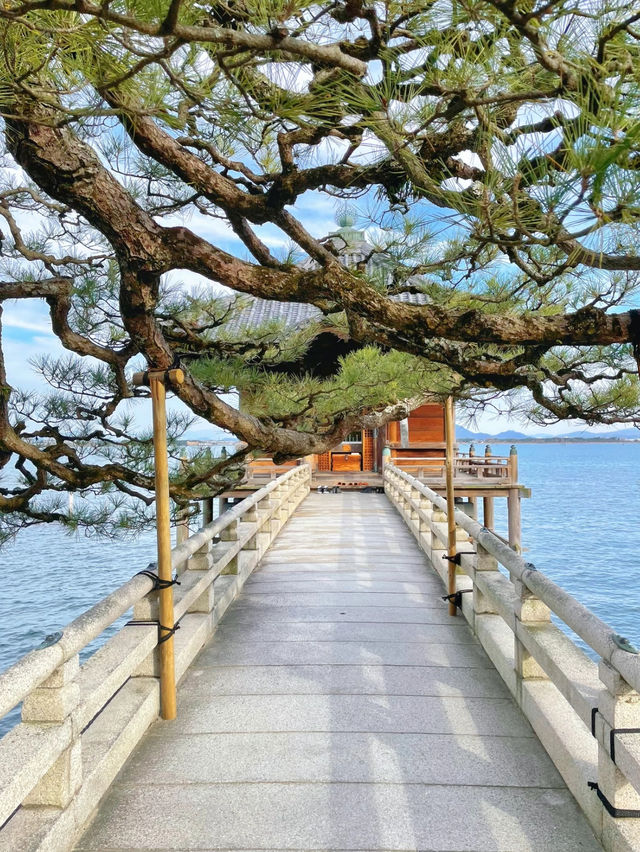 【絶景】美しき湖上の御堂！びわ湖の景勝地🌊🌕満月寺浮御堂