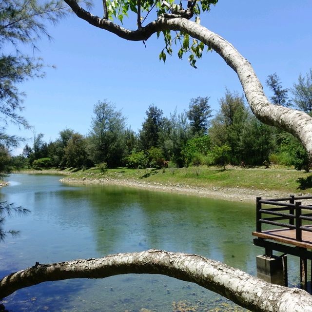 絕美密境~台東森林公園琵琶湖
