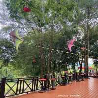 #ForRestForestClub คาเฟ่ฟีลเขาใหญ่ จ.ระยอง