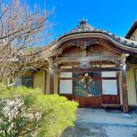 Tranquil Temples: Fukuoka's Zen Escape