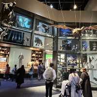 A magical tour for muggles