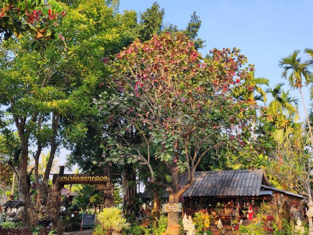 ร้านอาหารท่ามกลางบรรยากาศ ดอยหลวงเชียงดาว