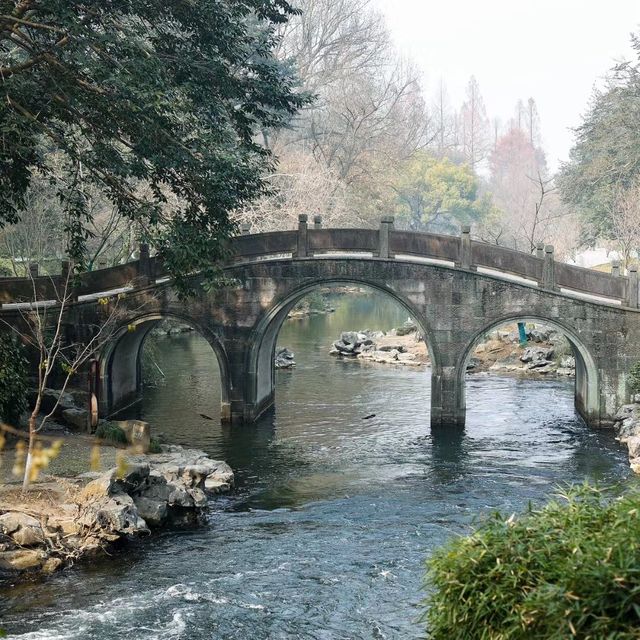 【大灣區】固橋公園：寧靜花園，適合散步和休憩