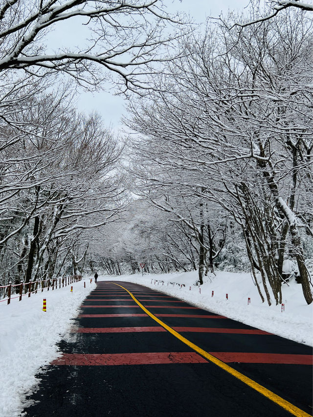 Experience White Winter @Jeju Island