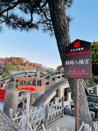 【神奈川県】美しき下拝殿　鶴岡八幡宮の舞殿