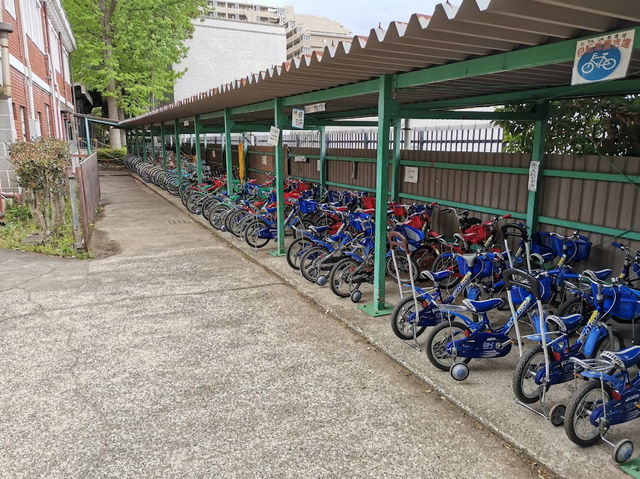 Sakura Traffic Park 