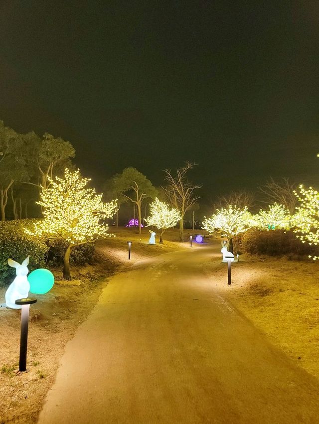 아롱다롱 반짝이는 아름다운 다대포 빛축제✨️