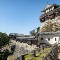 Matsuyama Castle