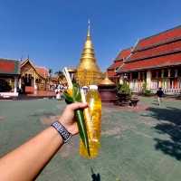 พาไหว้พระธาตุประจำคนปีระกา - จังหวัดลำพูน