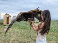 Handling an Eagle in Kazakhstan!