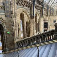 【イギリス】ナイトミュージアムの世界！自然史博物館