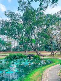 #ที่เที่ยววาเลนไทน์  สวนจีน ในหลวง ร.9
