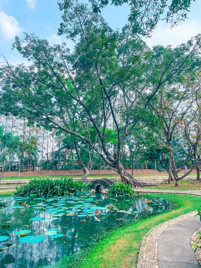 #ที่เที่ยววาเลนไทน์  สวนจีน ในหลวง ร.9