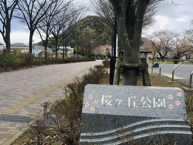 Sakuragaoka Park