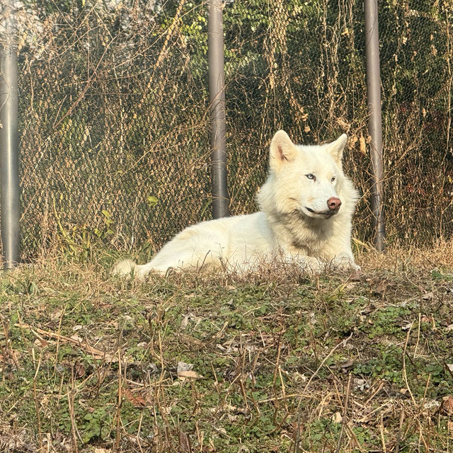 親子之選～東山動植物園 